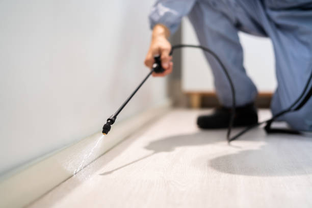 Licensed Cockroach Control service in Brewton, AL - Nex Pest Control