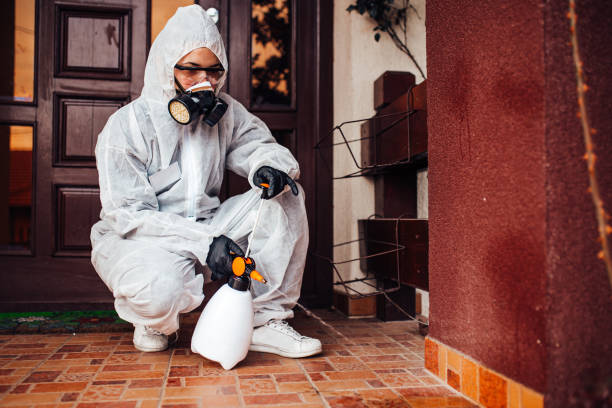 Reliable Cockroach Control contractor in Brewton, AL by Nex Pest Control